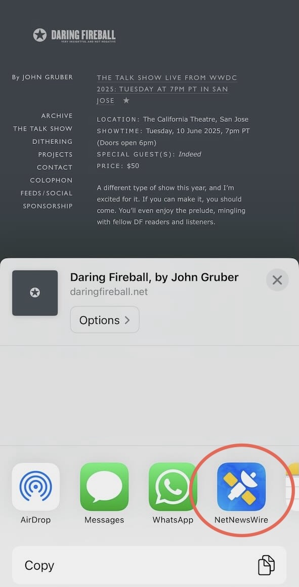 Screenshot of the iOS share menu opened from Safari on a blog showing the NetNewsWire app icon